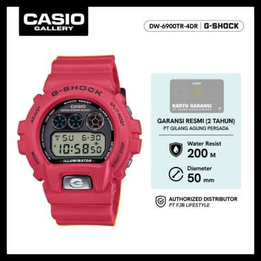 G-Shock Jam Tangan Pria DW-6900TR-4DR Digital