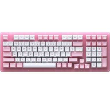 EPOMAKER AKKO ACR98 Prunus Lannesiana 98 Keys Jelly pink