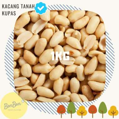 KACANG TANAH MENTAH 1KG / KACANG TANAH KUPAS UKURAN SUPER BESAR