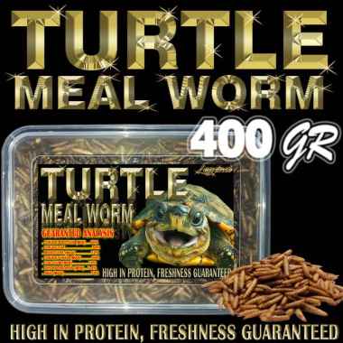 400GR TURTLE MEAL WORM MAKANAN KURA-KURA AIR PAKAN KURA BRAZIL CST AST RES MONBI RAZOR PICTA UNIFILI