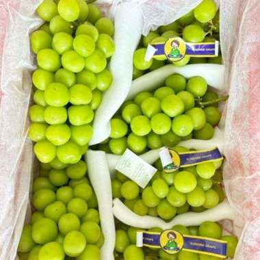 Shine Muscat Curah 1kg