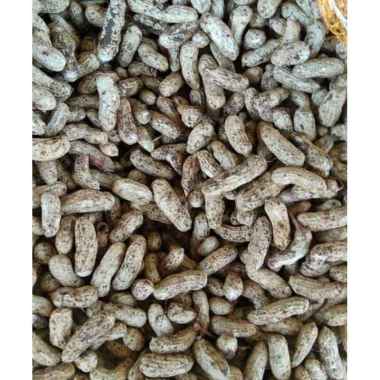 Kacang Tanah Kulit mentah 1kg