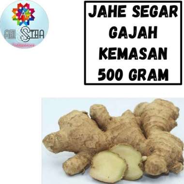 Jahe Gajah Emprit Merah Segar Kemasan 500 Gram Gajah