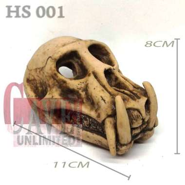 HS001 HIDING SKULL TULANG TENGKORAK BABON FOSIL MONYET MONKEY HIDINGCAVE ULAR CORNSNAKE MILK SNAKE S