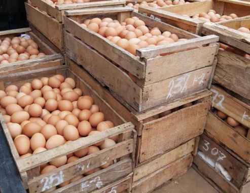 Telur Ayam 1 Peti 15 Kg