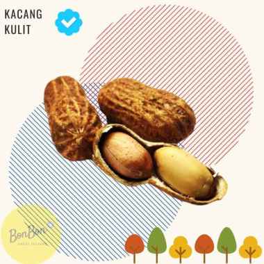 KACANG KULIT SANGRAI 500 GR / KACANG TANAH / PEANUTS