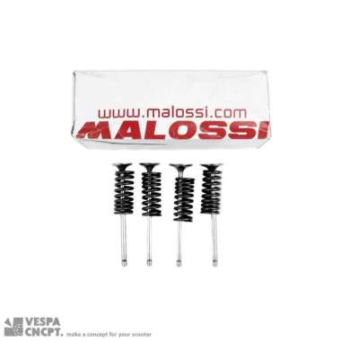 Klep + Per Klep Malossi Vespa Gts Gtv 4v 150cc 300cc 4 Valve