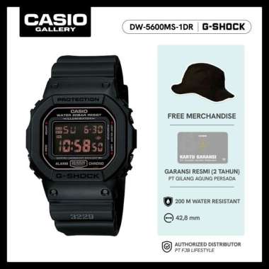 G-Shock Jam Tangan Pria DW-5600MS-1DR Water Resistant Original