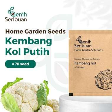 Bibit Kembang Kol F1 - Benih Sayuran Seribuan Premium PREM KEMBANG KOL