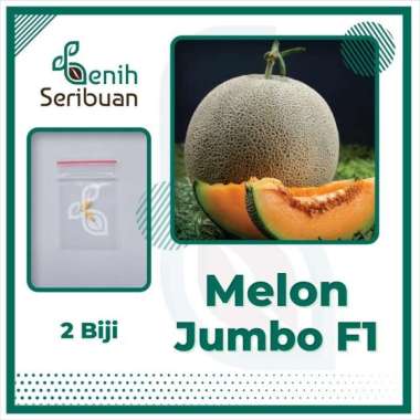 2 Benih Melon Jumbo F1 Hibrida Bibit Buah Melon Orange Manis