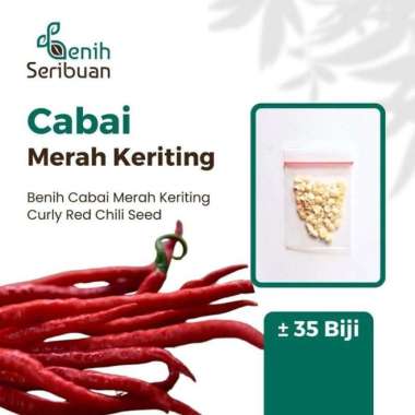 Biji Benih Cabe Merah Keriting Bibit Sayuran Cabai Unggul Tanaman