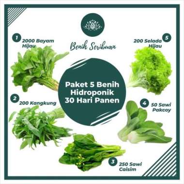 Paket Bibit Sayuran 5 Macam Benih Sayuran Hidroponik 30 Hari Panen