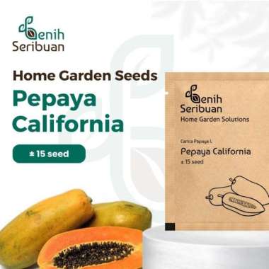 15 Benih Bibit Buah Pepaya California F1 Hibrida Unggul Kemasan Premiu PREM PEPAYA CALINA