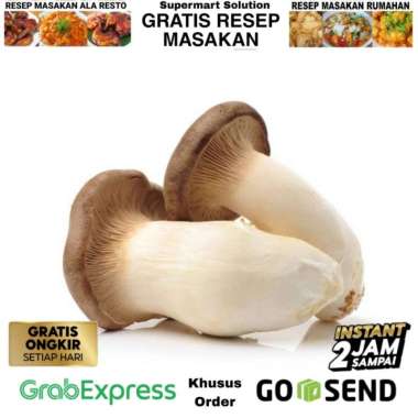 Jamur King Oyster / King Oyster Mushroom