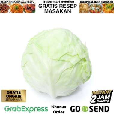 Sayur Kol / Kubis / Cabbage / Engkol