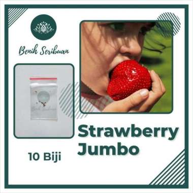 Bibit Strawberry Jumbo - 10 Benih Buah Stroberi Giant Besar California