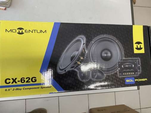 Speaker Momentum CX-62G Split 2 way component