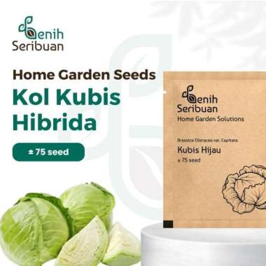 Bibit Kol Kubis Hijau F1 - Benih Sayuran Seribuan Premium PREM KUBIS HIJAU