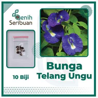 10 Bibit Bunga Telang Ungu Benih Tanaman Bunga Telang