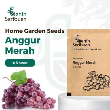 Benih Seribuan - Bibit Buah Anggur Merah Heirloom Premium