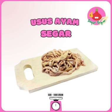 Sayur Segar - Usus Ayam Segar/Chicken Intestines 1 kg
