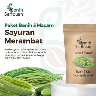 Paket Bibit Sayuran 5 Macam Benih Sayuran Rambat Sayur Merambat Buncis