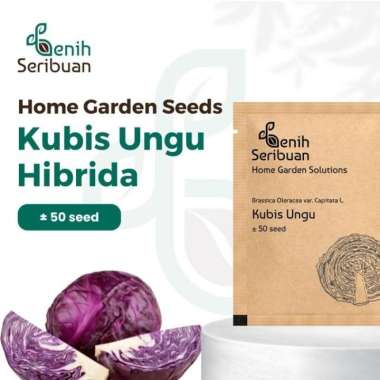Bibit Kol Kubis Ungu F1 - Benih Sayuran Seribuan Premium PREM KUBIS UNGU