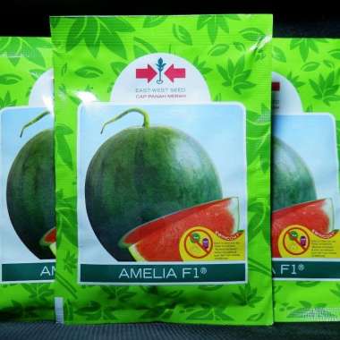 3 Biji - Benih Semangka Merah NON Biji AMELIA F1 Panah Merah - Bibit Tanaman