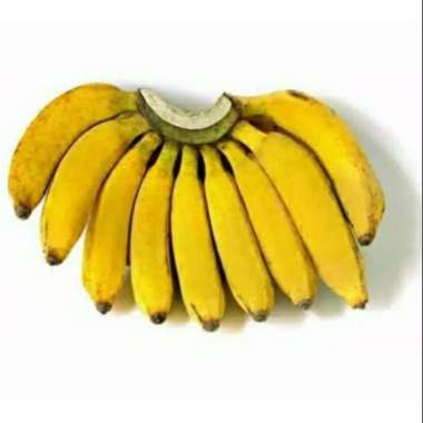 pisang raja bulu - 1 sisir