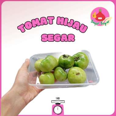 Sayur Segar - Tomat Hijau / Green Tomato 1 kg