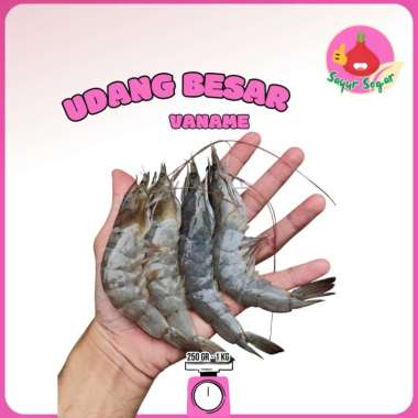 Sayur Segar - Udang Vaname Super Besar Segar/Fresh Big Shrimps 250 gram