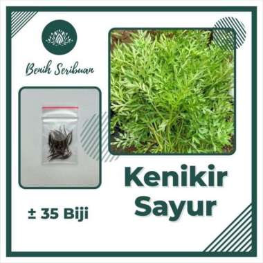 35 Bibit Benih Biji Sayuran Kenikir Sayur Lalap Unggul KENIKIR SAYUR