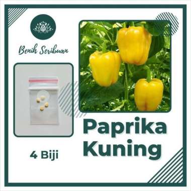 4 Bibit Paprika Kuning F1 Golden Star Sayuran Benih Tanaman Sayur PAPRIKA KUNING