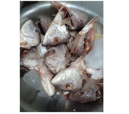 KEPALA IKAN KAKAP SEGAR 1 kg