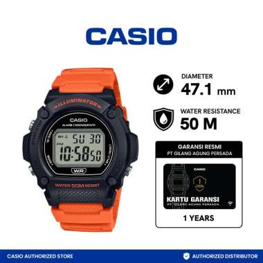 Jam Tangan Pria Casio W-219H-4AVDF