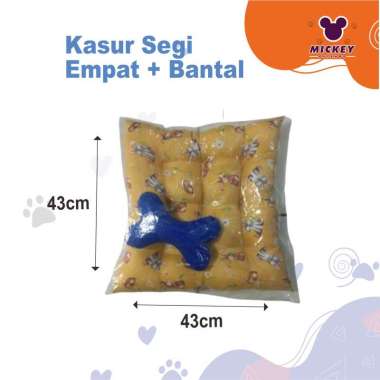 Kasur Hewan Segi Empat + Bantal (Motif Random )