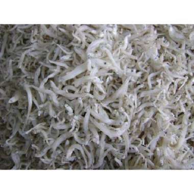ikan asin teri medan 100 gram