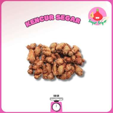 Sayur Segar - Kencur Segar/Galanga 100 gr
