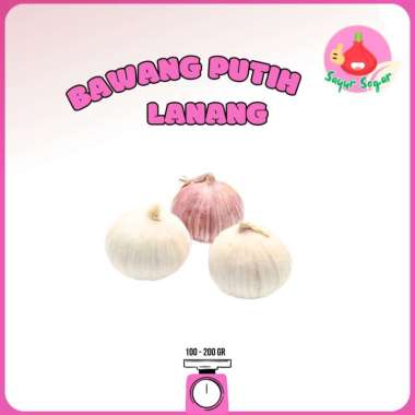 Sayur Segar - Bawang Putih Lanang/Lanang Onion 100 gr