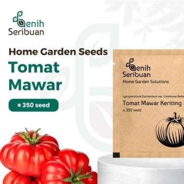 Bibit Tomat Keriting Mawar - Benih Sayuran Seribuan Premium PREM TOMAT MAWAR