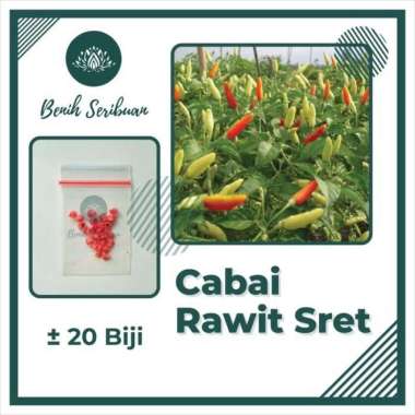 20 BENIH BIBIT CABE UNGGUL CABAI RAWIT SRET CABAI RAWIT SRET