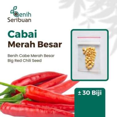 Benih Cabe Merah Besar Sayuran Tahan Virus Bibit Cabai Unggul 30 Biji