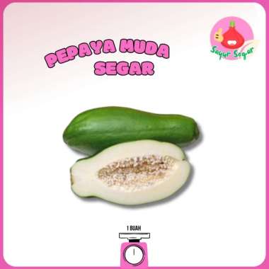 Sayur Segar - Pepaya Muda Segar/Unripe Papaya 1 Buah