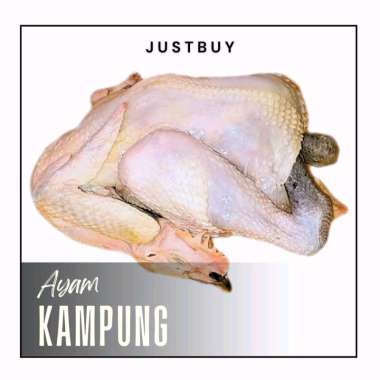 Ekoran Ayam Kampung Asli Ayam Kampung 800 - 900gr