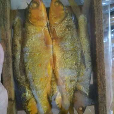 Ikan Bandeng Presto Segar