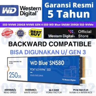SSD NVME 250GB NVME GEN 4 SSD WD Blue SN580 250GB SSD NVMe RESMI