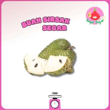 Sayur Segar - Buah Sirsak Segar/Soursop 1 Buah