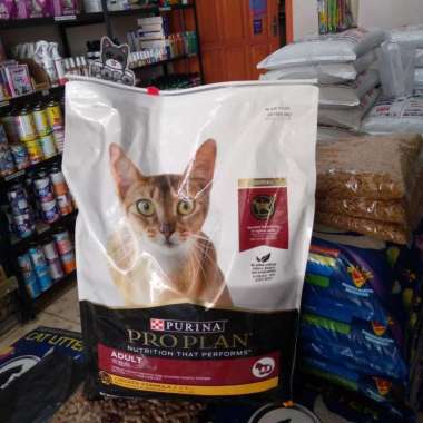 makanan kucing proplan adult chicken 7kg