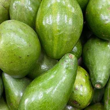 10 kg Alpukat Mentega perlu di peram 2-6hari [isi 1-3pcs/kg]