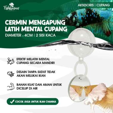 CERMIN MENGAPUNG UNTUK MELATIH IKAN CUPANG NGEDOK MANDIRI
